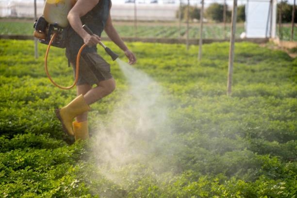 Best Best Pest Control Companies  in Fulton, MO
