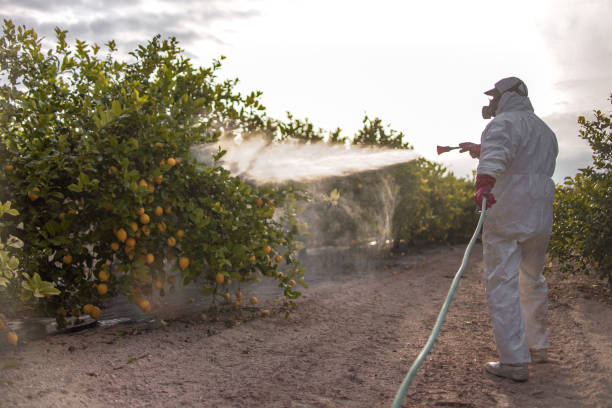 Best Mosquito Control Services  in Fulton, MO