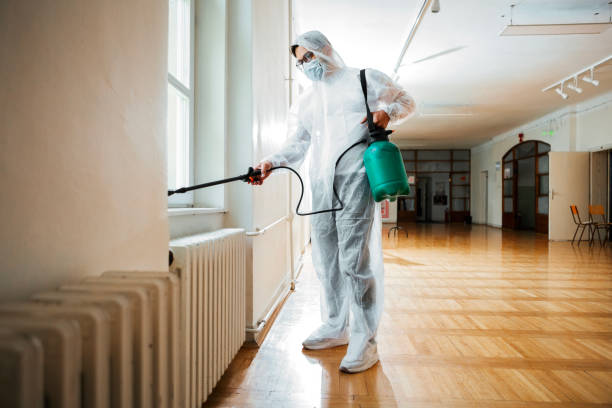 Best Cockroach Control Services  in Fulton, MO